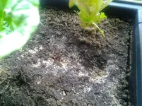 20120529_202203.webp
