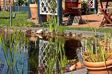 großer Teich rechte Seite_smaller.webp