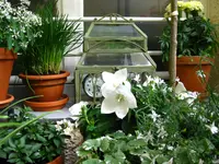 IMG_3195.webp