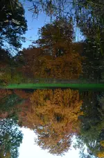 DSC_3958 Spiegelei.webp