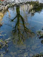 Eisspiegel046a.webp
