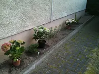 IMG_2474.webp