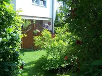 durch's Gartentürchen.webp