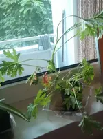 2012-05-31 16.44.29.webp