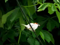 012.webp