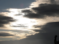 himmel 31.05.12.webp