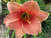 024.webp