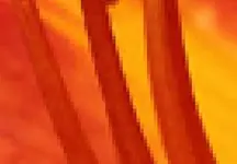Verkleinerung.webp