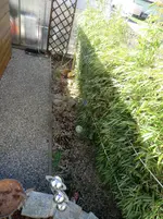 CIMG1441.webp
