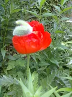 01062012014.webp