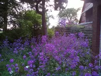26052012004.webp