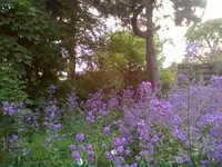 26052012005.webp
