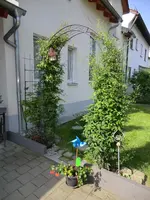 CIMG1635.webp