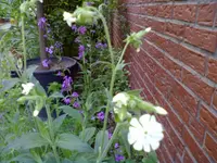 27052012011.webp