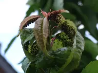 DSCF2369.webp