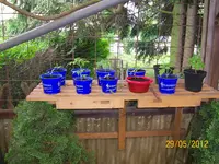 Tomatenbank 100_0981 (Large).webp
