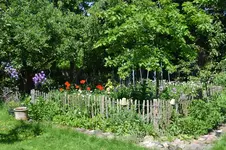 DSC_0558.webp