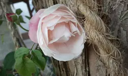 2012-06-02 10.09.41.webp