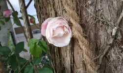 2012-06-02 10.09.25.webp