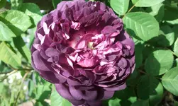 2012-06-02 10.11.24.webp