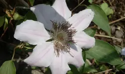 2012-06-02 10.11.41.webp