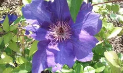 2012-06-02 10.12.02.webp