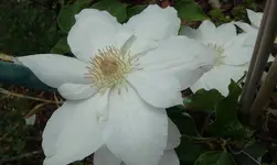 2012-06-02 10.15.32.webp