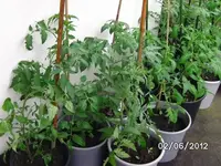 BILD0201.webp