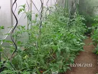 BILD0202.webp