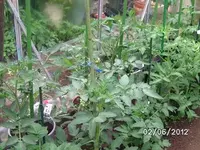 BILD0207.webp