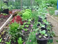 BILD0210.webp