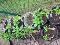 BILD0211.webp