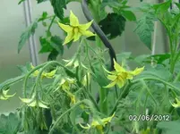 BILD0216.webp