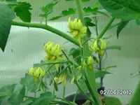 BILD0217.webp