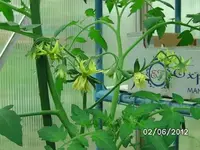 BILD0218.webp