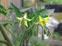 BILD0219.webp