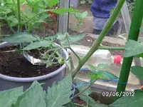 BILD0223.webp