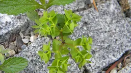 DSCN3003.webp