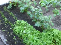 Mai Garten20120526_02.webp