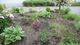 K800_Allerlei 2012 161.webp
