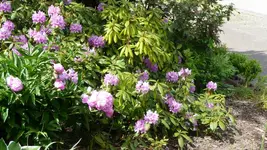 K800_Allerlei 2012 165.webp