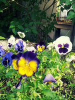 20120602172411.webp