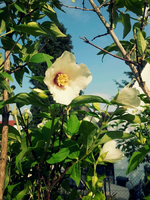 20120602172531.webp