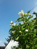 20120602172558.webp