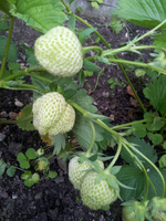 20120602172645.webp