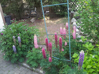 20120602172849.webp