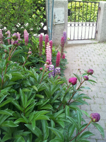 20120602172954.webp