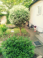 20120602173137.webp