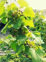 20120602174504.webp