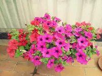 20120602175054.webp